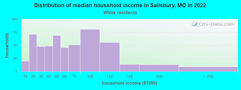 Distribution of median household income in Salisbury, MO in 2022