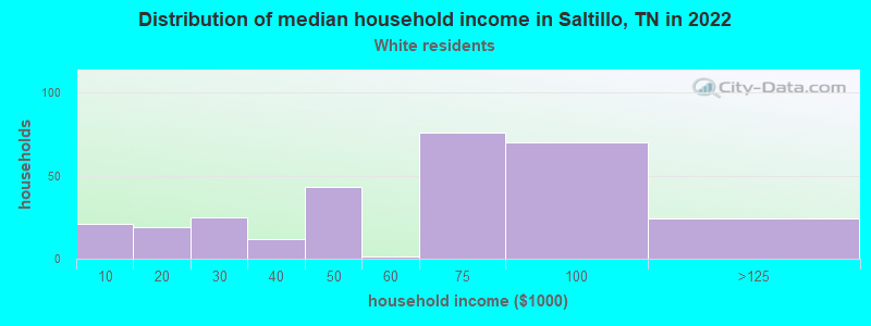 Distribution of median household income in Saltillo, TN in 2022