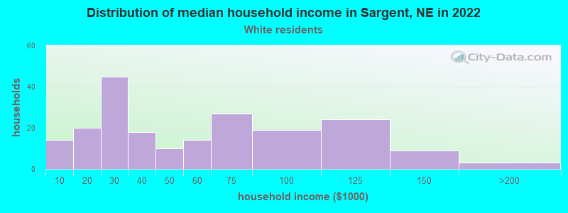 Distribution of median household income in Sargent, NE in 2022