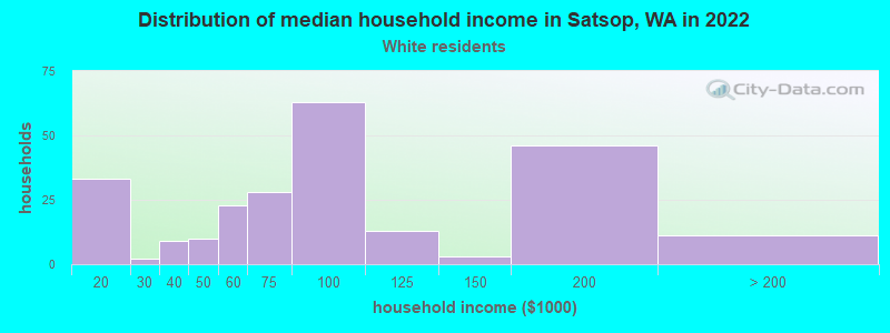 Distribution of median household income in Satsop, WA in 2022