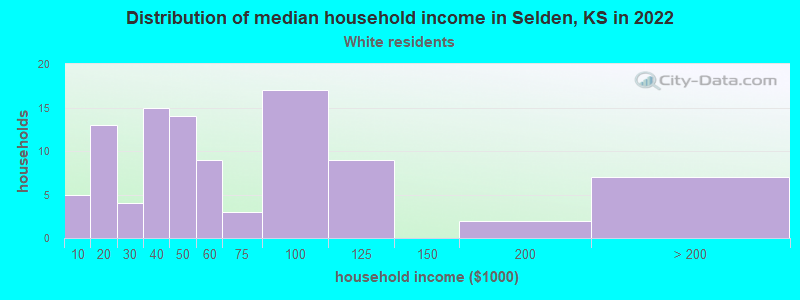 Distribution of median household income in Selden, KS in 2022
