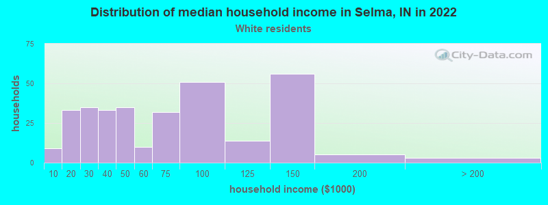 Distribution of median household income in Selma, IN in 2022