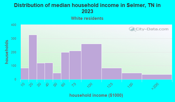 Selmer Tennessee TN Income Map Earnings Map And Wages Data selmer-tennessee-tn-income-map-earnings-map-and-wages-data
