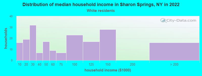 Distribution of median household income in Sharon Springs, NY in 2022