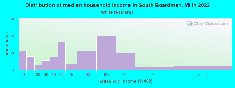 Distribution of median household income in South Boardman, MI in 2022