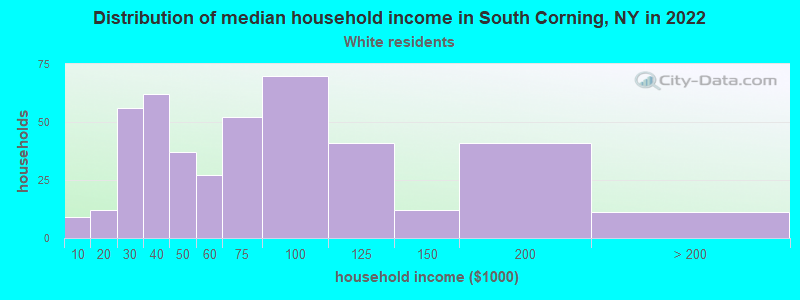 Distribution of median household income in South Corning, NY in 2022