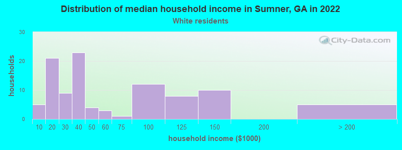 Distribution of median household income in Sumner, GA in 2022