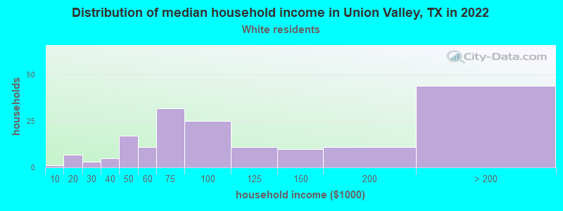 Distribution of median household income in Union Valley, TX in 2022