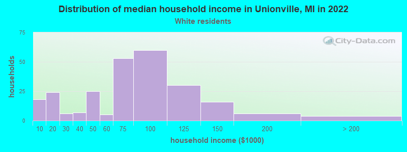 Distribution of median household income in Unionville, MI in 2022