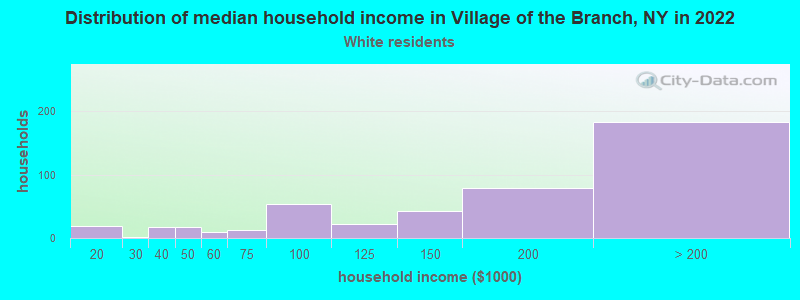 Distribution of median household income in Village of the Branch, NY in 2022