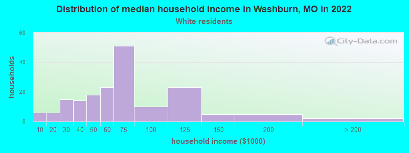 Distribution of median household income in Washburn, MO in 2022