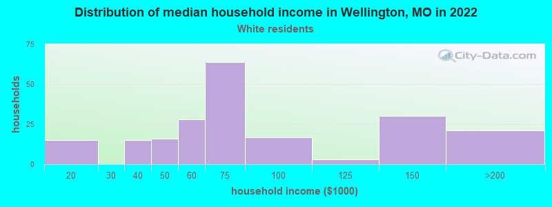 Distribution of median household income in Wellington, MO in 2022