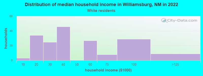 Distribution of median household income in Williamsburg, NM in 2022