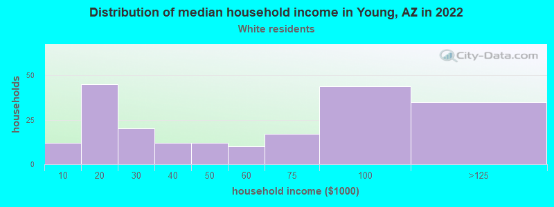 Distribution of median household income in Young, AZ in 2022