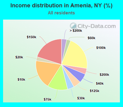 Income distribution in Amenia, NY (%)