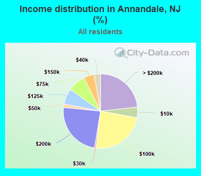 Income distribution in Annandale, NJ (%)