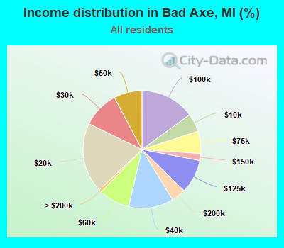 Income distribution in Bad Axe, MI (%)