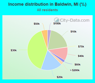 Income distribution in Baldwin, MI (%)