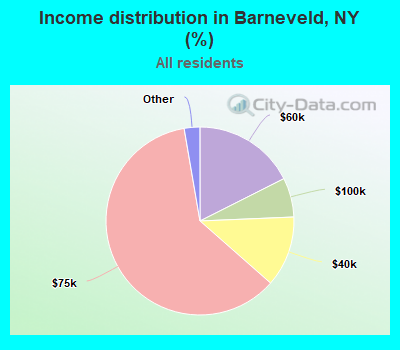 Income distribution in Barneveld, NY (%)