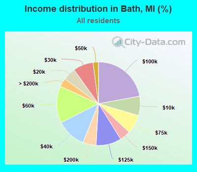 Income distribution in Bath, MI (%)
