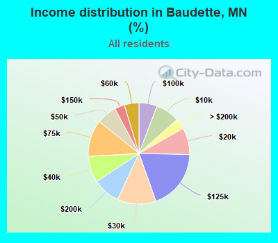 Income distribution in Baudette, MN (%)