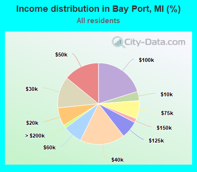 Income distribution in Bay Port, MI (%)