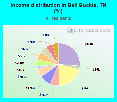 Income distribution in Bell Buckle, TN (%)