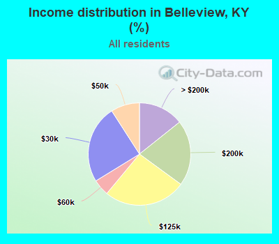 Income distribution in Belleview, KY (%)