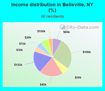 Income distribution in Belleville, NY (%)