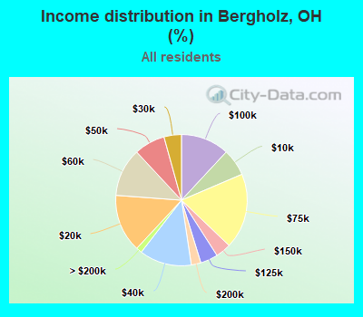 Income distribution in Bergholz, OH (%)