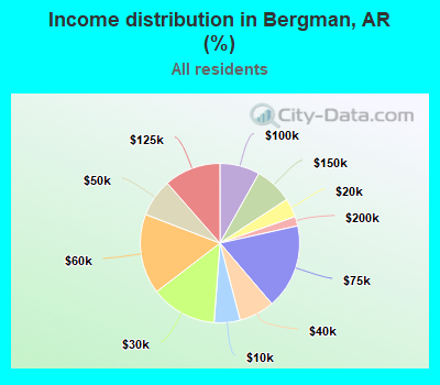 Income distribution in Bergman, AR (%)