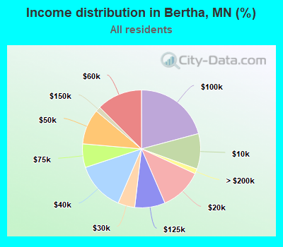 Income distribution in Bertha, MN (%)
