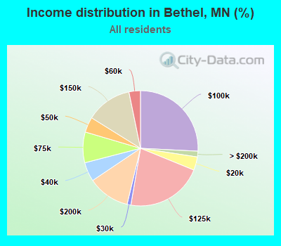 Income distribution in Bethel, MN (%)