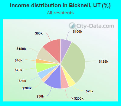 Income distribution in Bicknell, UT (%)