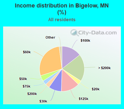 Income distribution in Bigelow, MN (%)