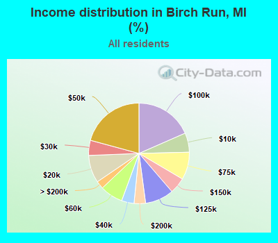 Income distribution in Birch Run, MI (%)