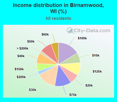 Income distribution in Birnamwood, WI (%)