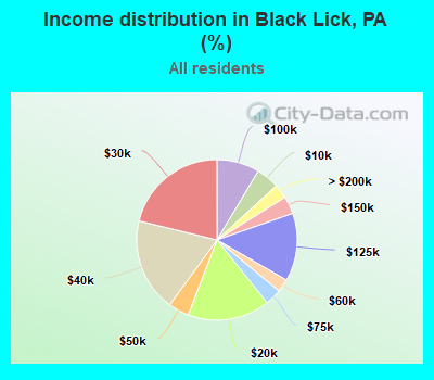Income distribution in Black Lick, PA (%)