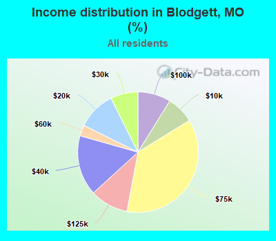 Income distribution in Blodgett, MO (%)
