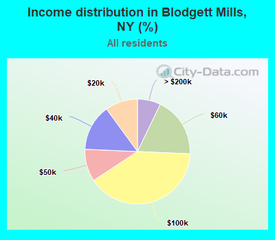 Income distribution in Blodgett Mills, NY (%)