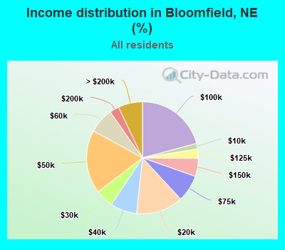 Income distribution in Bloomfield, NE (%)