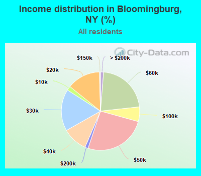 Income distribution in Bloomingburg, NY (%)
