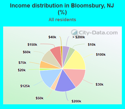 Income distribution in Bloomsbury, NJ (%)