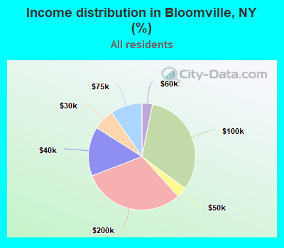 Income distribution in Bloomville, NY (%)