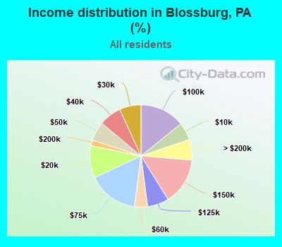 Income distribution in Blossburg, PA (%)