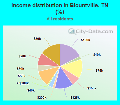 Income distribution in Blountville, TN (%)