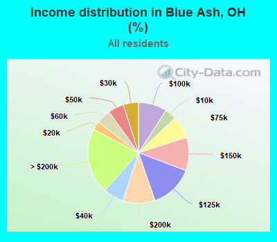 Income distribution in Blue Ash, OH (%)