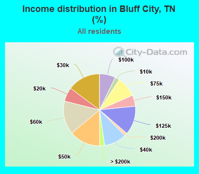Income distribution in Bluff City, TN (%)