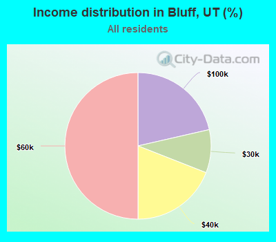 Income distribution in Bluff, UT (%)