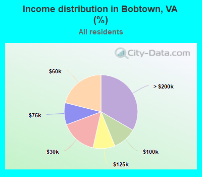 Income distribution in Bobtown, VA (%)